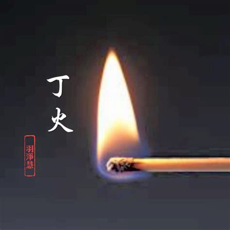 天干丁